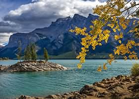 구찌 가방, 진품인지 확인하는 5초 체크리스트