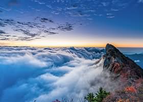 구찌 가방, 진품인지 확인하는 5초 체크리스트