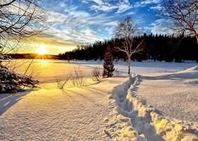 써니의 다이어리에 오신 것을 환영합니다