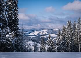 써니의 다이어리에 오신 것을 환영합니다