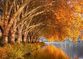 구찌 가방, 진품인지 확인하는 5초 체크리스트