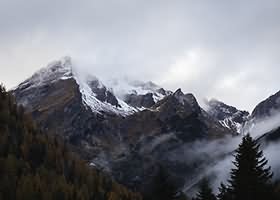 구찌 가방, 진품인지 확인하는 5초 체크리스트
