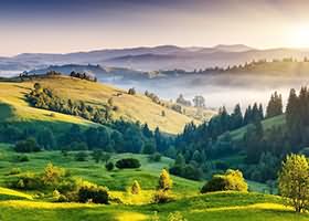 구찌 가방, 진품인지 확인하는 5초 체크리스트