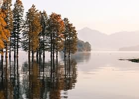 구찌 가방, 진품인지 확인하는 5초 체크리스트