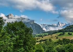 구찌 가방, 진품인지 확인하는 5초 체크리스트