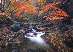 구찌 가방, 진품인지 확인하는 5초 체크리스트