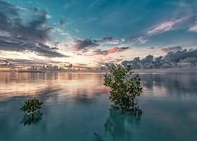 구찌 가방, 진품인지 확인하는 5초 체크리스트