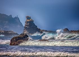 써니의 다이어리에 오신 것을 환영합니다