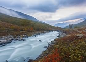 써니의 다이어리에 오신 것을 환영합니다